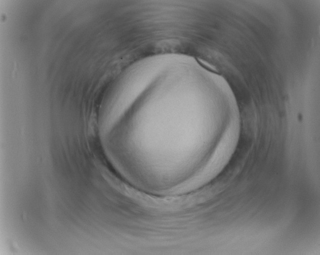 X0000071360038200607142031