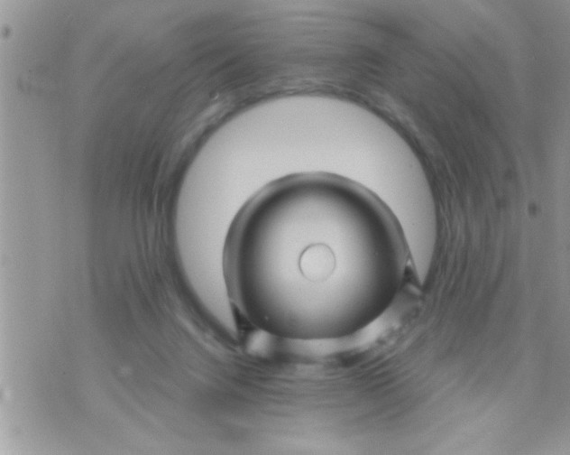 X0000071360072200607142031