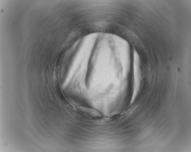 X0000071360131200607142030