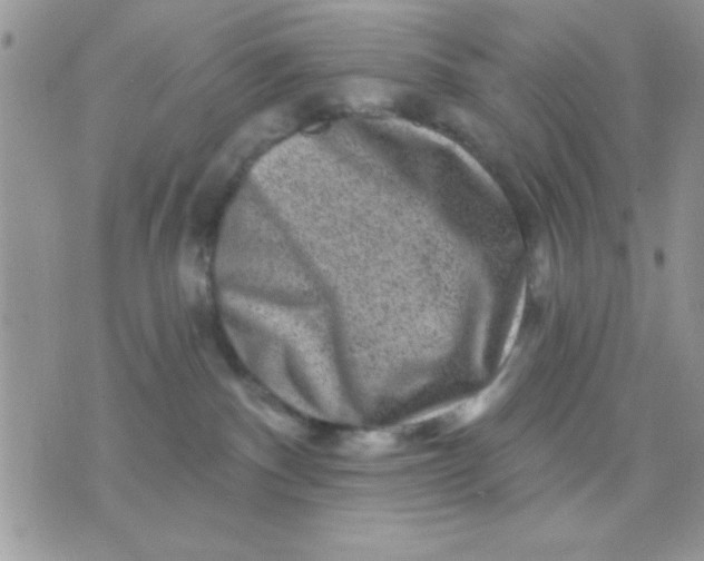 X0000071360140200607142030