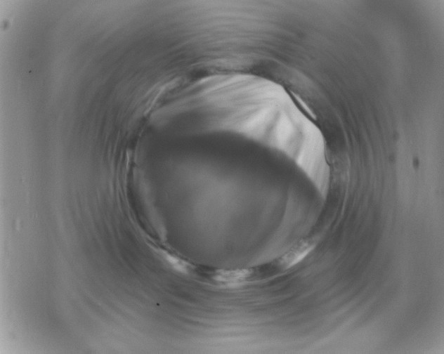 X0000071360143200607142030