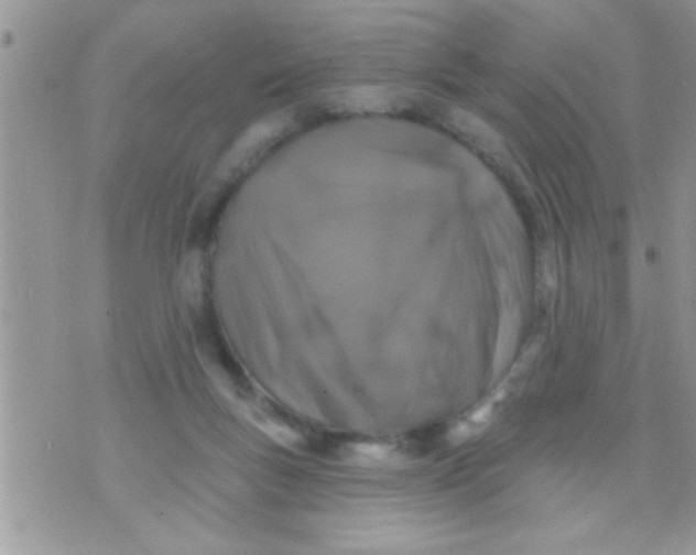 X0000071360167200607142029
