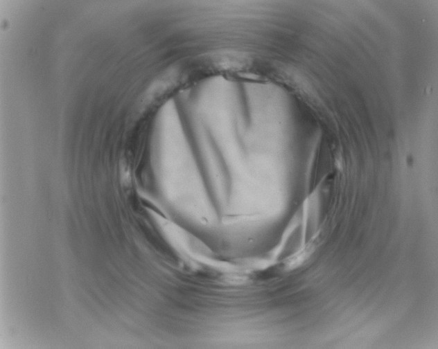 X0000071360176200607142029