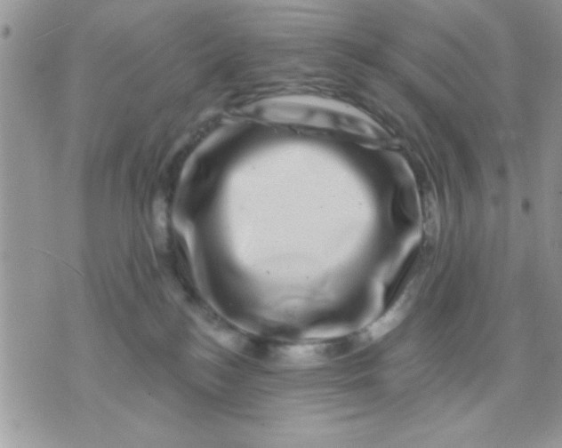 X0000071360184200607142030