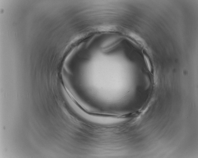 X0000071360201200607142029