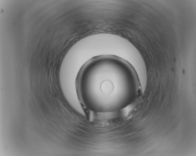 X0000071360276200607142028