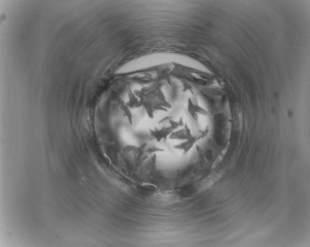 X0000071360280200607142028