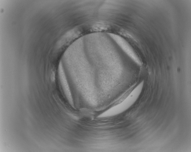 X0000071360315200607142027