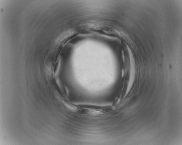 X0000071360333200607142027