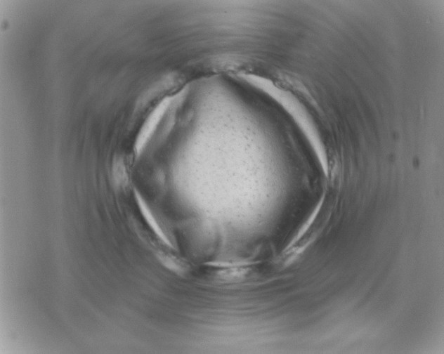 X0000071360335200607142027