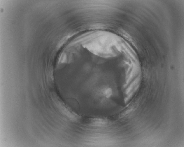 X0000071360347200607142026
