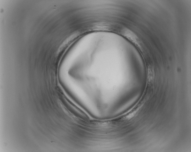 X0000071360349200607142026