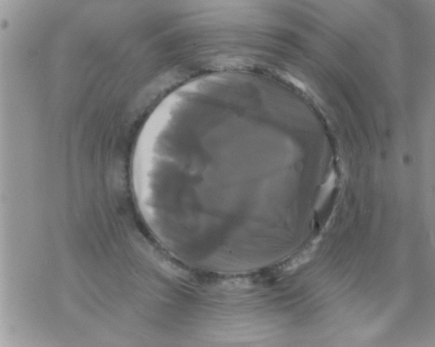 X0000071360353200607142026