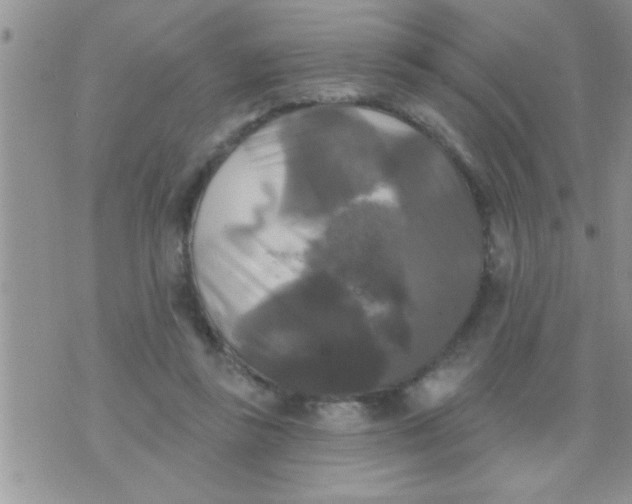 X0000071360355200607142026