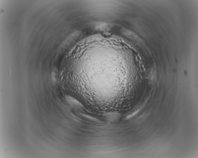 X0000071360424200607142025