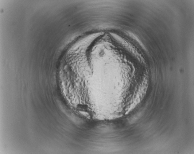 X0000071360447200607142025