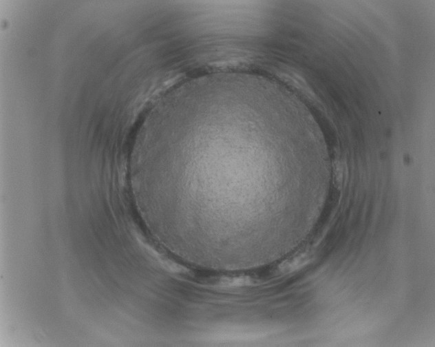 X0000071360458200607142025