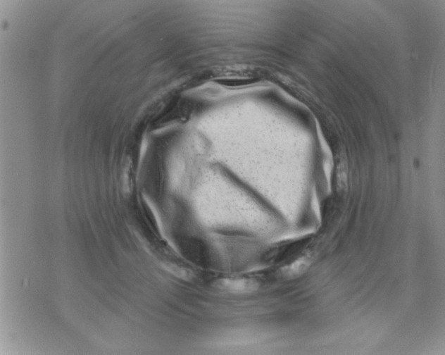 X0000071360464200607142025