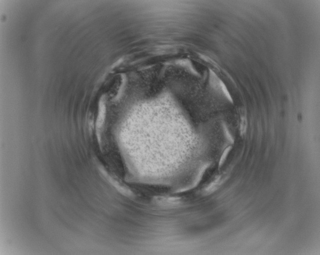 X0000071360476200607142025
