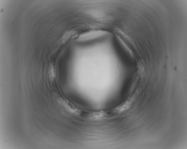 X0000071360479200607142025