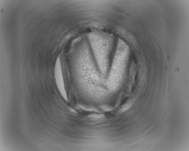 X0000071360480200607142025