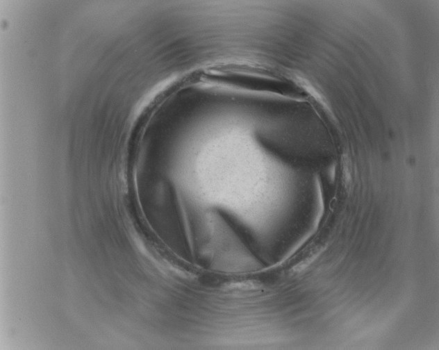 X0000071360536200607142023