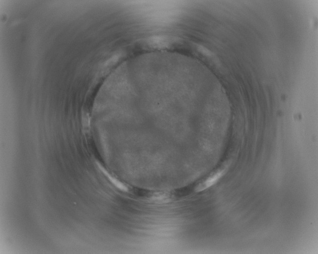 X0000071360624200607142022