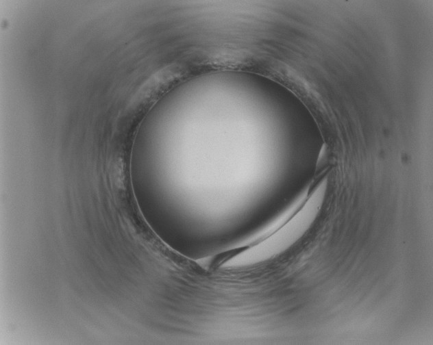 X0000071360689200607142021