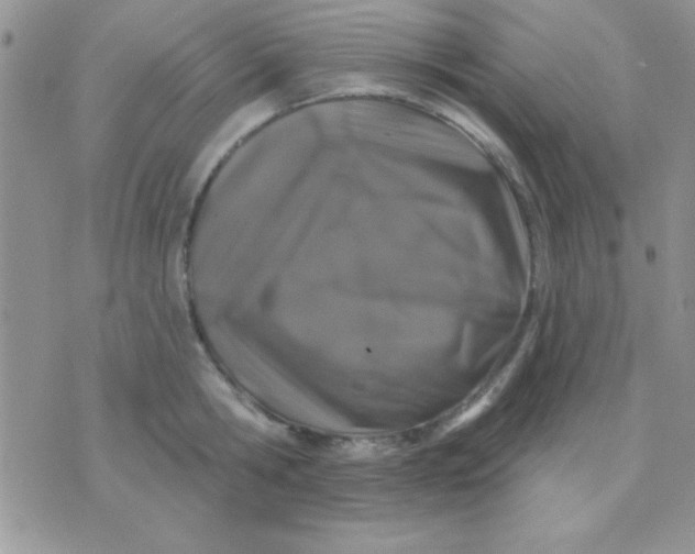 X0000071360806200607142019