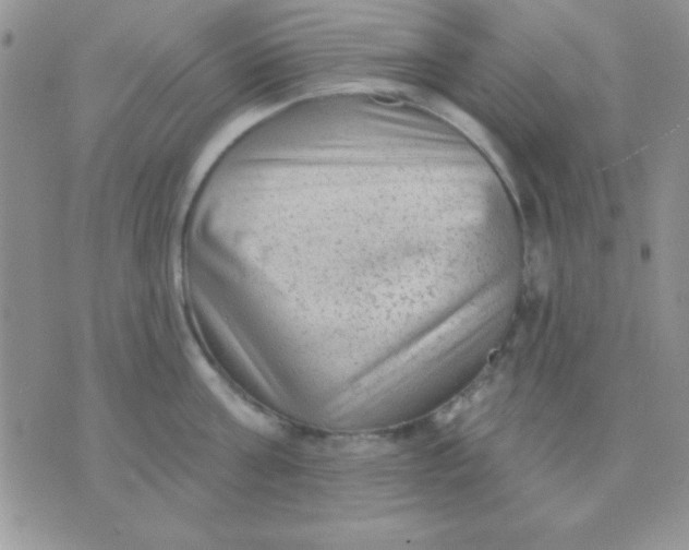 X0000071360811200607142019