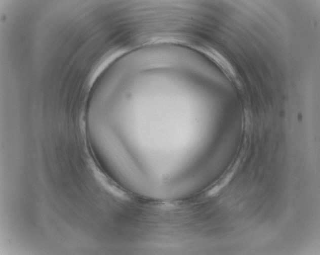 X0000071360814200607142019