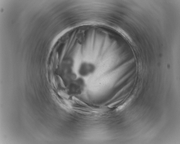 X0000071360854200607142019