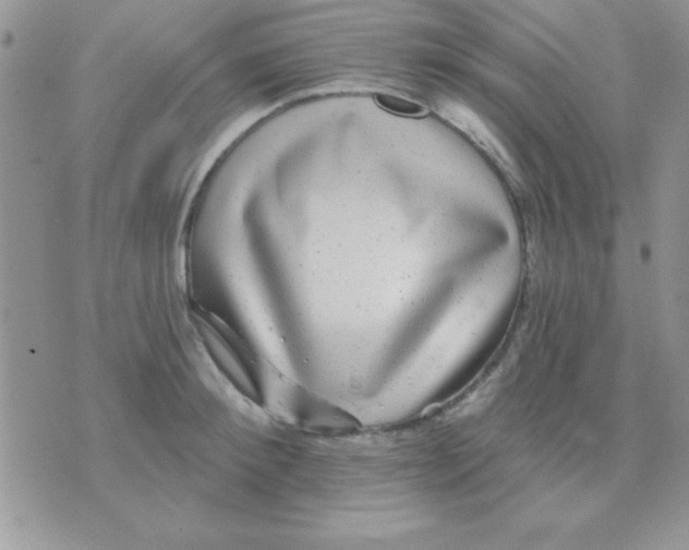 X0000071360900200607142017