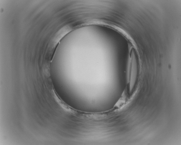 X0000071360905200607142017