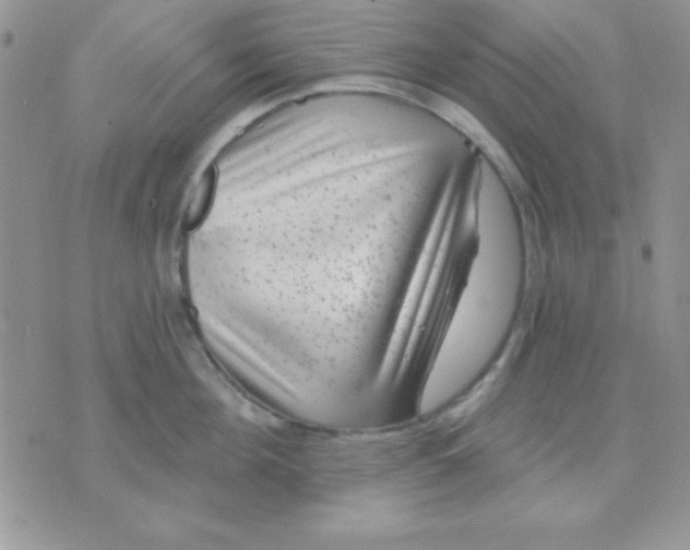 X0000071360908200607142017