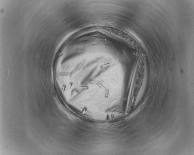 X0000071360940200607142017