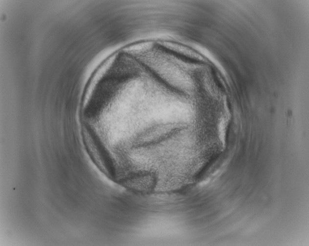 X0000071360959200607142017