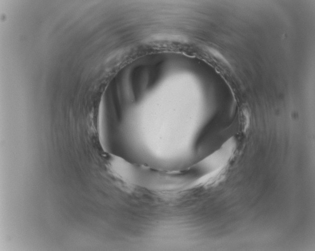 X0000071360965200607142016
