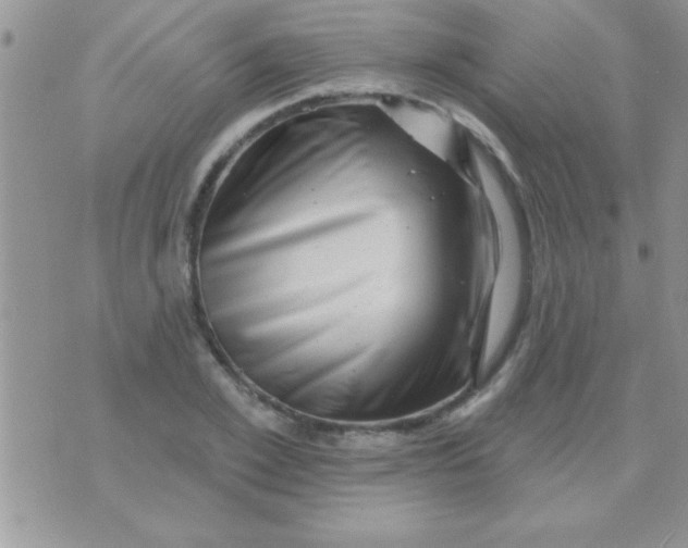 X0000071360981200607142016