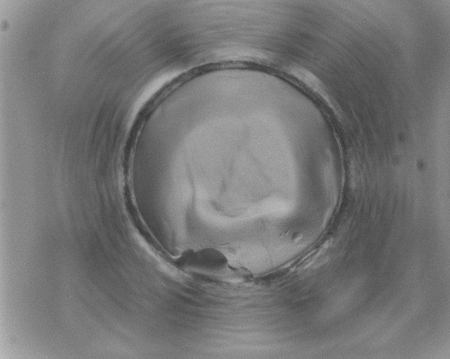 X0000071361024200607142015