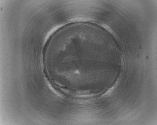 X0000071361030200607142015