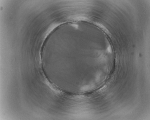 X0000071361031200607142015