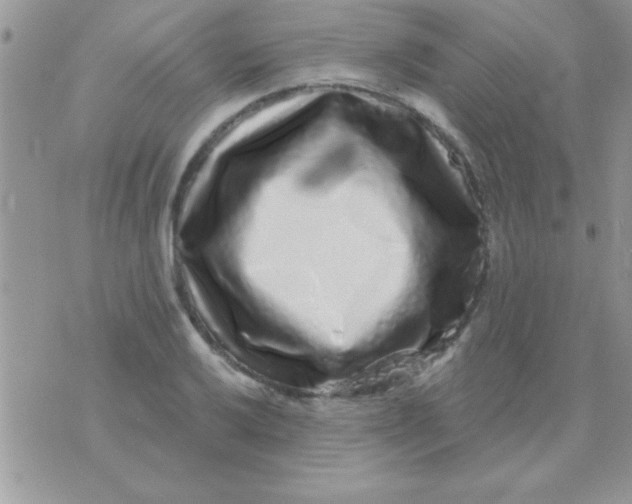 X0000071361032200607142015