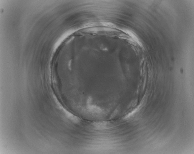 X0000071361046200607142016