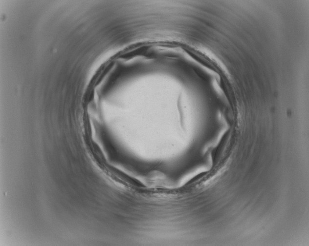 X0000071361085200607142014