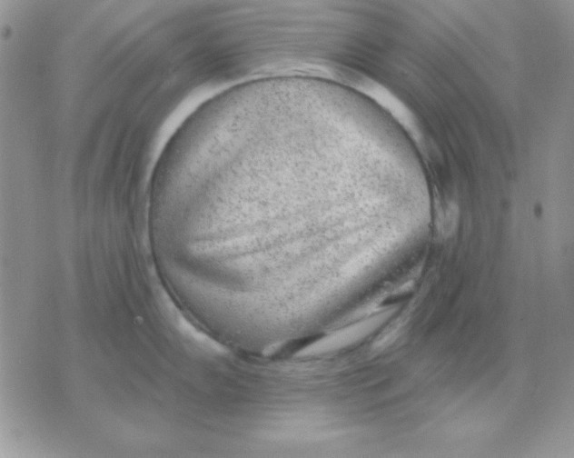 X0000071361102200607142014