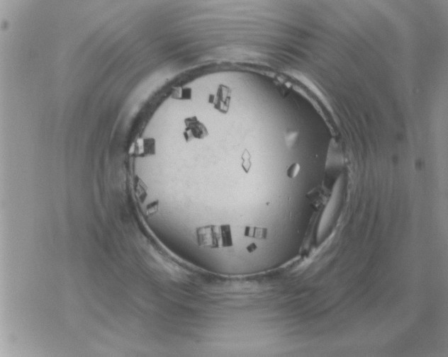 X0000071361115200607142014