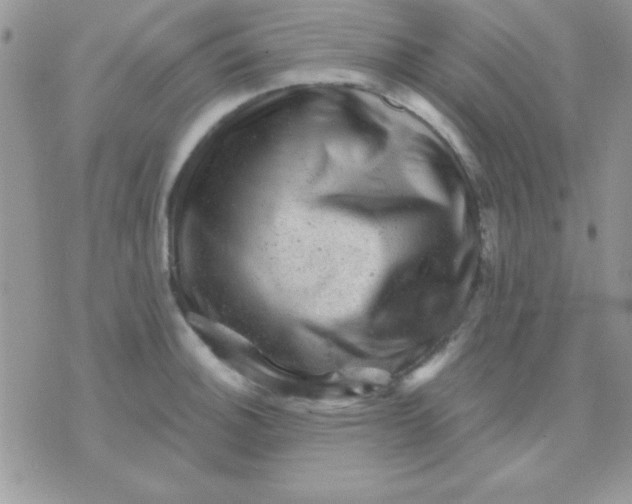 X0000071361140200607142014
