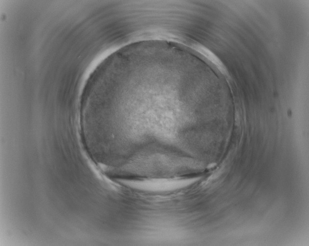 X0000071361144200607142014