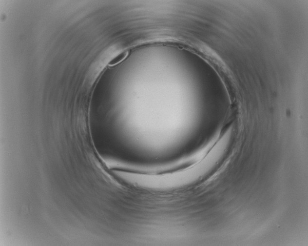 X0000071361177200607142013